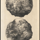 Illustration for article titled A Collection of Very Strange Maps